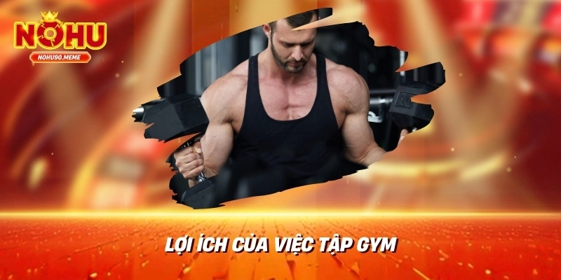 Lợi ích của việc tập gym